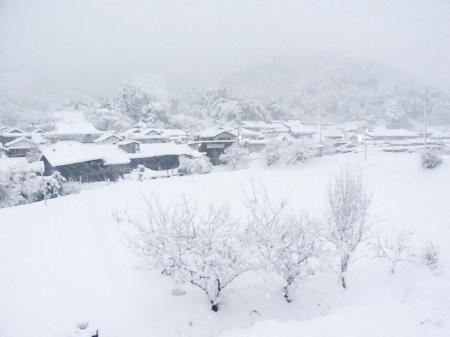 101231_yuki_0210a.jpg