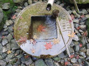 1012_ryoanji_0147b.jpg